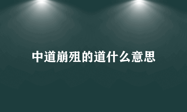 中道崩殂的道什么意思