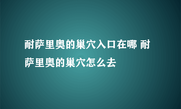 耐萨里奥的巢穴入口在哪 耐萨里奥的巢穴怎么去