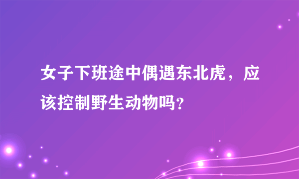 女子下班途中偶遇东北虎，应该控制野生动物吗？