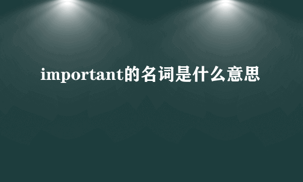important的名词是什么意思