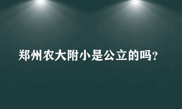 郑州农大附小是公立的吗？