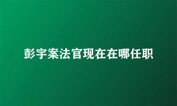 彭宇案法官现在在哪任职