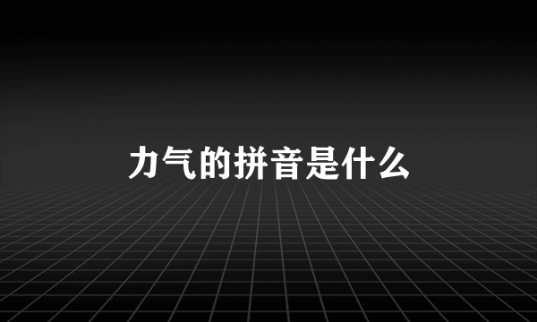 力气的拼音是什么