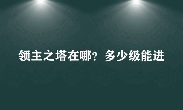 领主之塔在哪？多少级能进