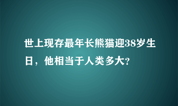 世上现存最年长熊猫迎38岁生日，他相当于人类多大？