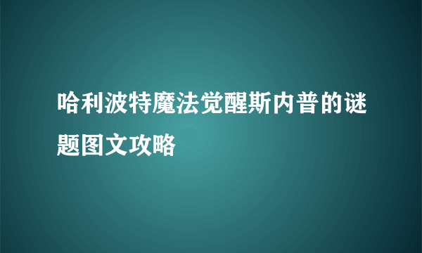哈利波特魔法觉醒斯内普的谜题图文攻略