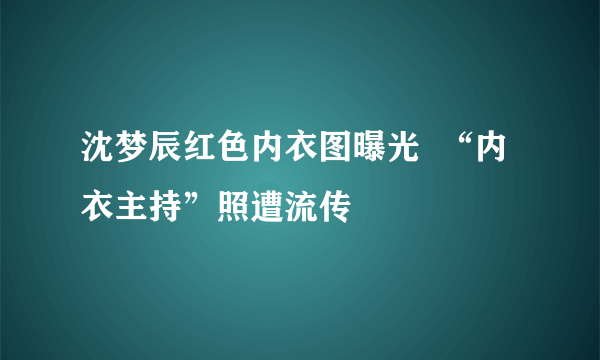沈梦辰红色内衣图曝光  “内衣主持”照遭流传