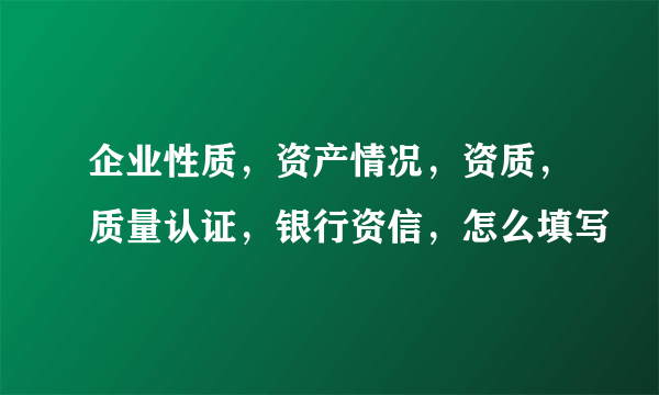 企业性质，资产情况，资质，质量认证，银行资信，怎么填写