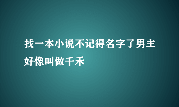 找一本小说不记得名字了男主好像叫做千禾