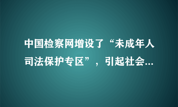 中国检察网增设了“未成年人司法保护专区”，引起社会高度关注，这体现了对未成年人的（　　）A.家庭保护B.学校保护C.社会保护D.司法保护