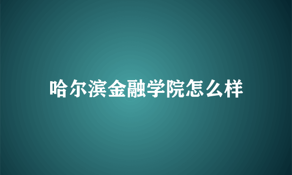 哈尔滨金融学院怎么样