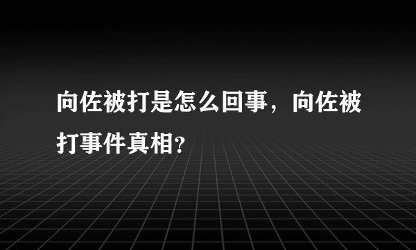 向佐被打是怎么回事，向佐被打事件真相？