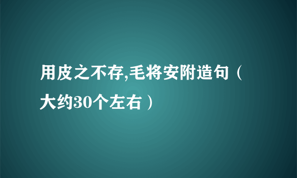 用皮之不存,毛将安附造句（大约30个左右）