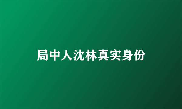 局中人沈林真实身份
