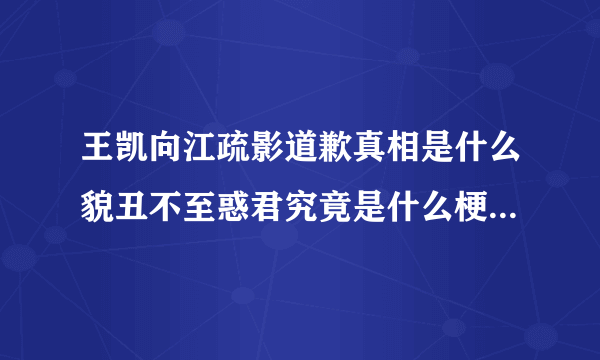 王凯向江疏影道歉真相是什么貌丑不至惑君究竟是什么梗-飞外网