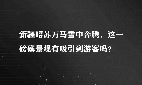 新疆昭苏万马雪中奔腾，这一磅礴景观有吸引到游客吗？