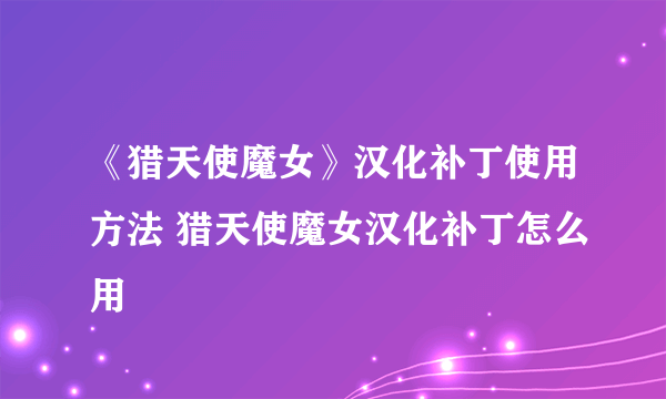 《猎天使魔女》汉化补丁使用方法 猎天使魔女汉化补丁怎么用