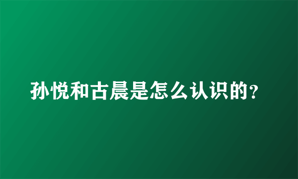 孙悦和古晨是怎么认识的？