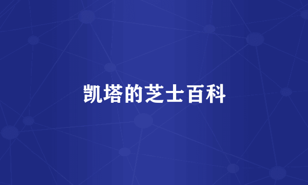 凯塔的芝士百科