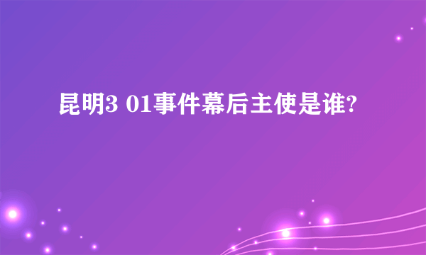 昆明3 01事件幕后主使是谁?