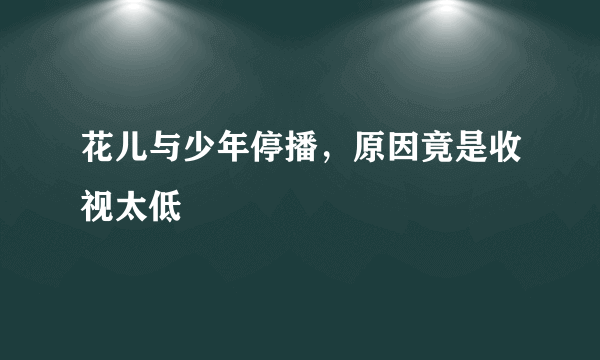 花儿与少年停播，原因竟是收视太低