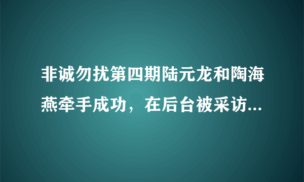 非诚勿扰第四期陆元龙和陶海燕牵手成功，在后台被采访时候的那个插曲名称
