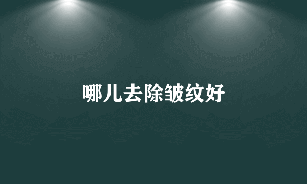 哪儿去除皱纹好