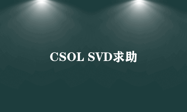 CSOL SVD求助