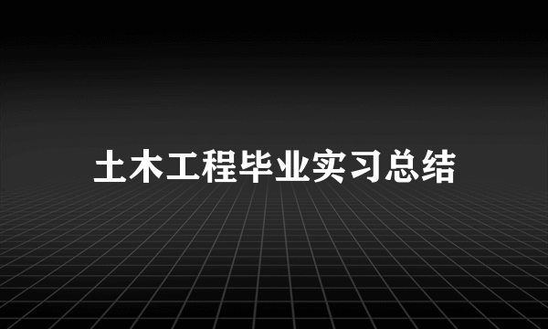 土木工程毕业实习总结