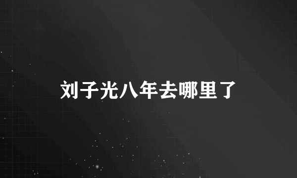 刘子光八年去哪里了