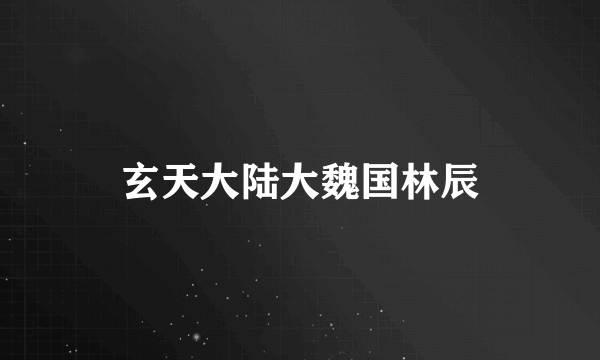 玄天大陆大魏国林辰