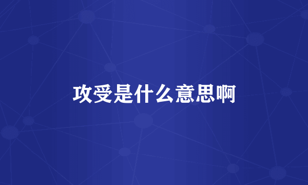 攻受是什么意思啊
