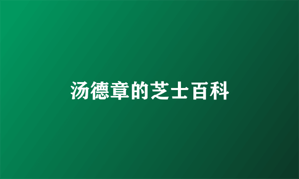 汤德章的芝士百科