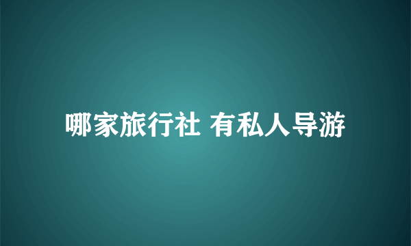 哪家旅行社 有私人导游