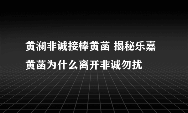 黄澜非诚接棒黄菡 揭秘乐嘉黄菡为什么离开非诚勿扰