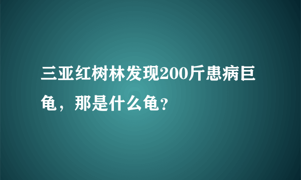三亚红树林发现200斤患病巨龟，那是什么龟？